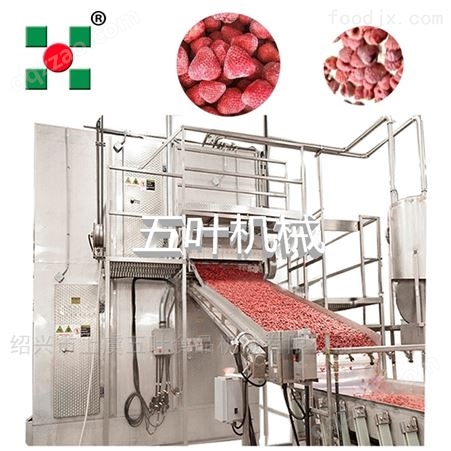 五叶机械 玉米草莓流态化速冻机