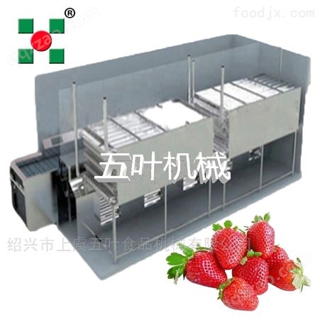 五叶机械 玉米草莓流态化速冻机