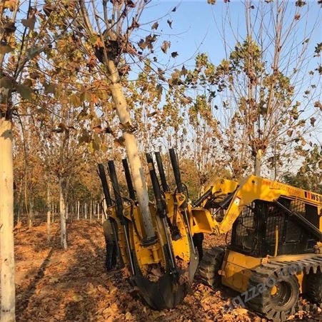 苗圃用挖树机 方便快捷 挖掘机断根起树机长期销售