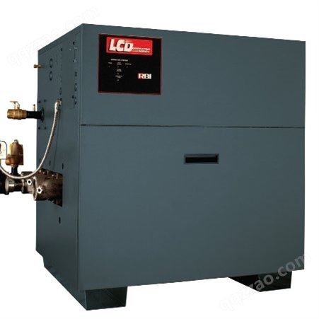 美鹰RBI铜管锅炉LB-2300环保低氮锅炉进口品质厂家代理