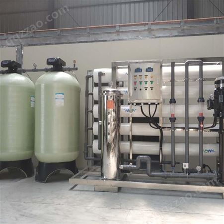 定制0.25-120吨每小时反渗透净化设备纯化水/软水处理成套设备