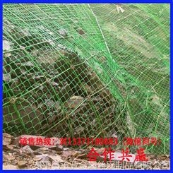 河北安平承亚 主动型边坡防护网 GPS2主动边坡防护网  大量现货 