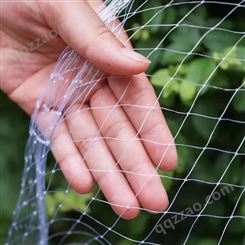 防鸟网 蔬菜果园农用 养殖网 HDPE防护网 航瑞丝网制品工厂生产