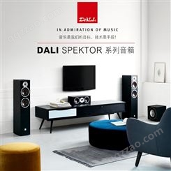 DALI/达尼 SPEKTOR VOKAL启典HIFI高保真中置发烧无源音响箱 丹麦品牌 高性价比