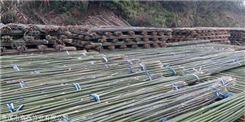批发豇豆架竹杆 2米5架竹杆 厂家供应 量大优惠