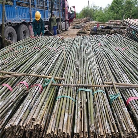 大量批发苹果树支杆 3米4米山竹 3.5米苦竹 苹果园支撑杆