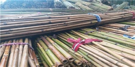 豆架竹批发  豇豆支架 豆角搭架 豆角种植基地选用的竹竿