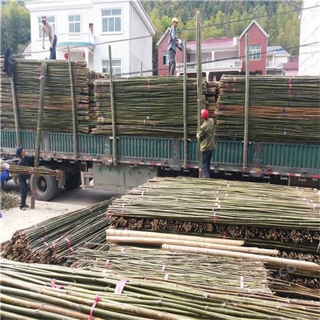 大量批发苹果树支杆 3米4米山竹 3.5米苦竹 苹果园支撑杆