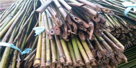 豆架竹批发  豇豆支架 豆角搭架 豆角种植基地选用的竹竿