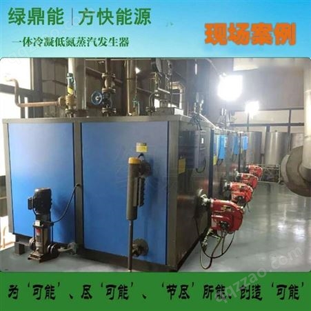 蒸汽发生器全自动0.5吨燃油（气）蒸汽发生器冷凝低氮蒸汽锅炉