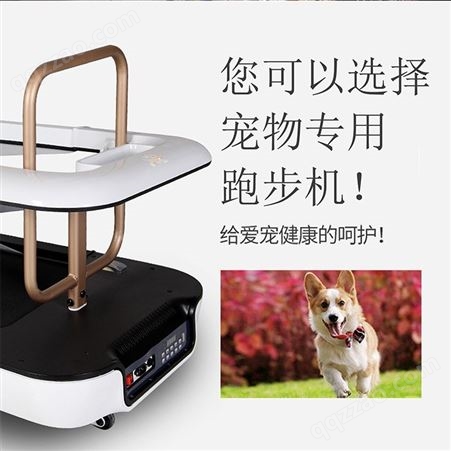 丽泽遛狗动物训练跑步机猫狗健身器材用品可定制
