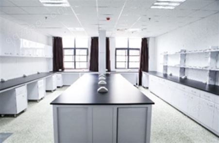 白龙马 分子实验室专业定制设计  台柜可生产安装