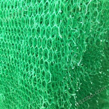 路克 护坡三维植被网 大量现货批发 绿化植草三维土工网