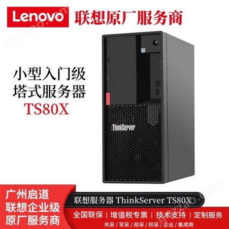 TS80X入门级 联想塔式服务器 ThinkServer TS80X E2224G 8G 2*1T 250W