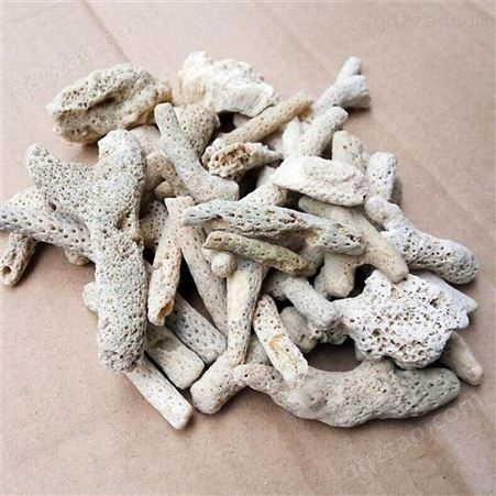 混凝土添加用珊瑚砂 沣铭批发大块珊瑚砂 1-5mm珊瑚骨
